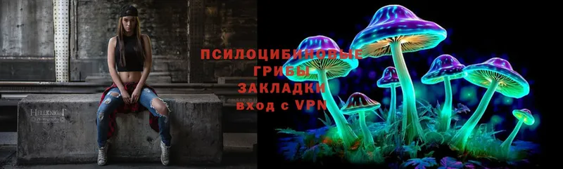 Псилоцибиновые грибы Cubensis  купить наркотики цена  Борисоглебск 